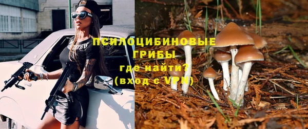 синтетический гашиш Нязепетровск