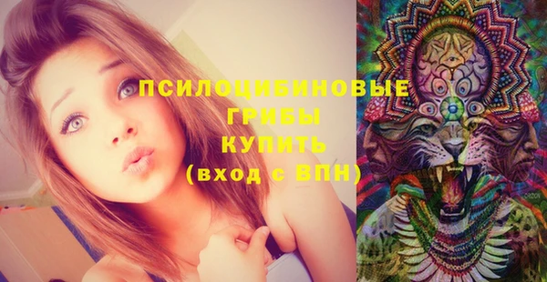 круглые Нягань