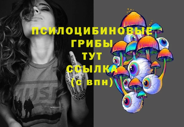 альфа пвп Няндома