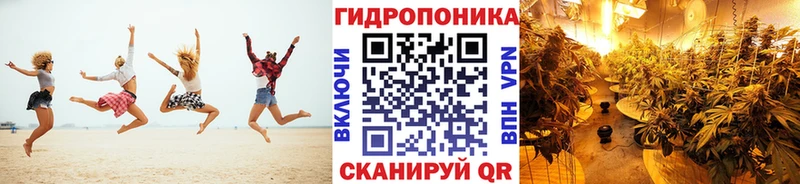 Бошки марихуана индика  сколько стоит  Цимлянск 